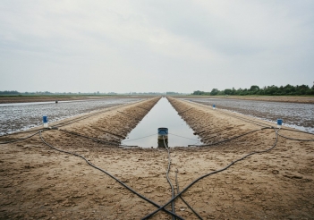 Quy trình kỹ thuật cải tạo ao nuôi tôm đúng chuẩn - Doanh Thương