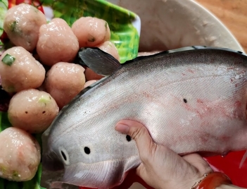Hướng dẫn cách làm chả cá thác lác chiên giòn thơm ngon giòn rụm - Doanh Thương