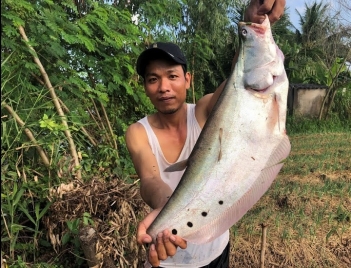 Kỹ thuật nuôi cá thác lác cườm bằng thức ăn công nghiệp - Doanh Thương
