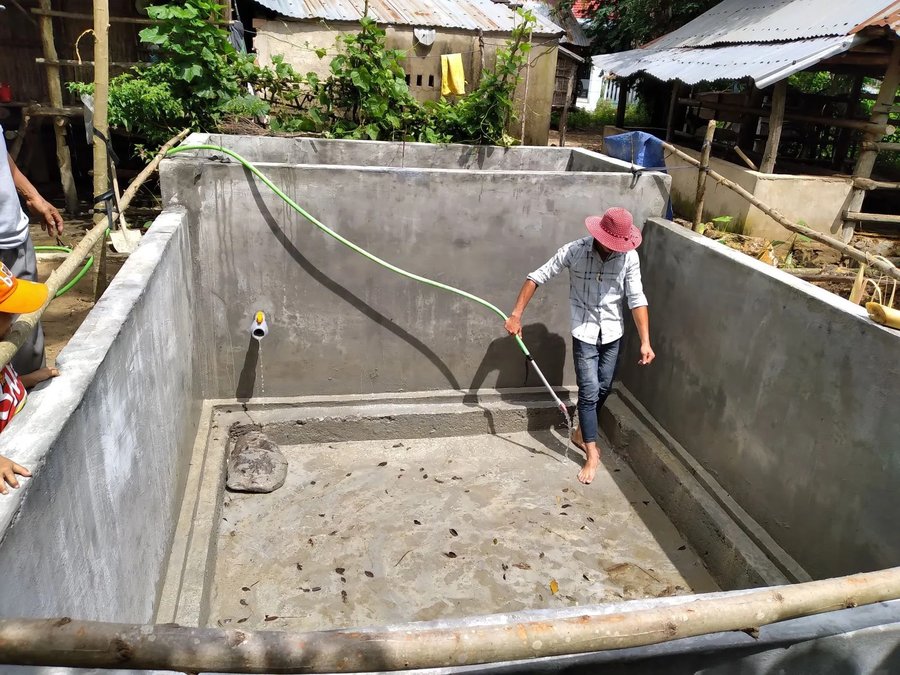 nuôi cá trê vàng trong be xi măng